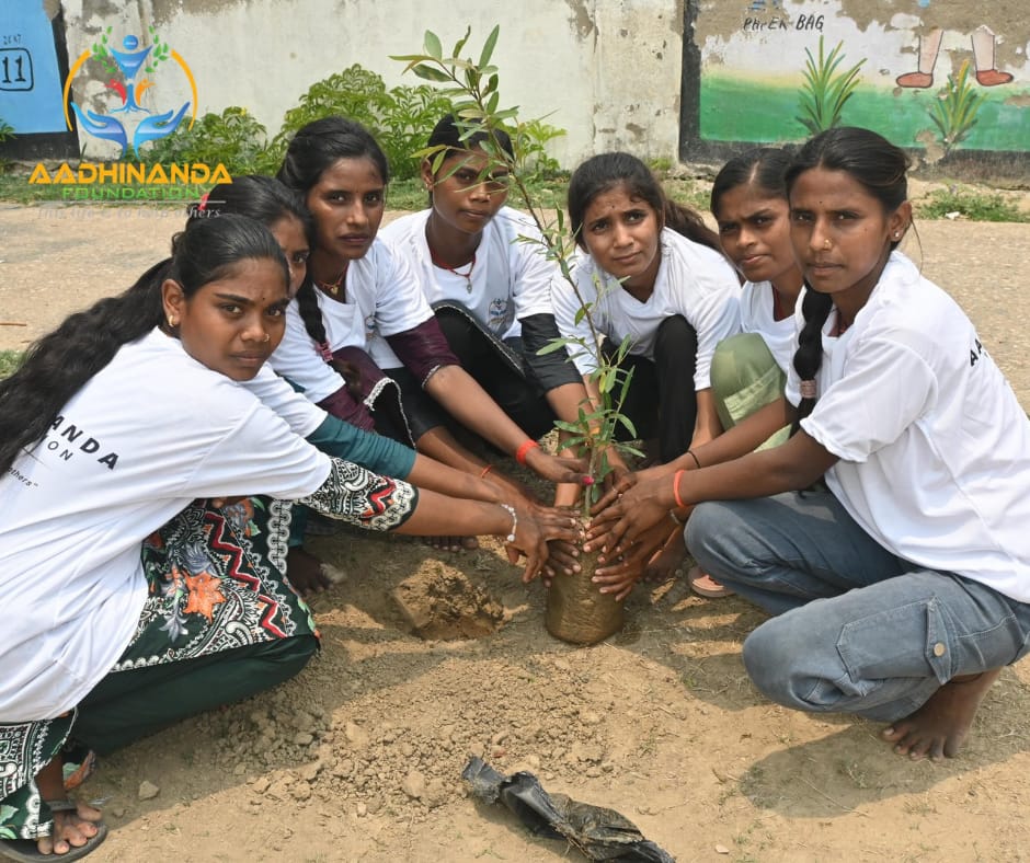 plantation